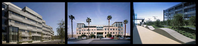 Slideshow Image 1